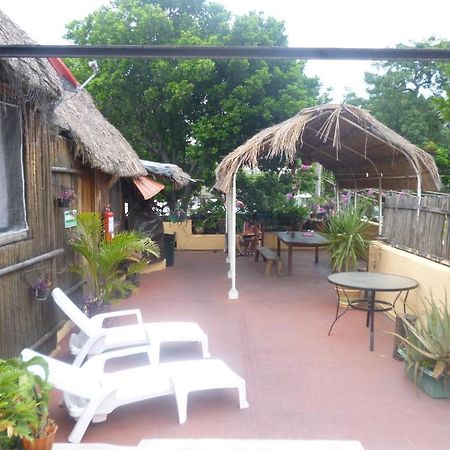 Mayan Hostel Канкун Екстер'єр фото