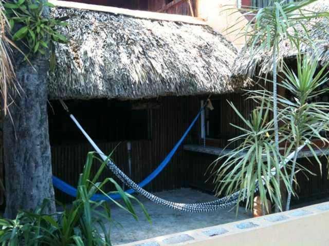 Mayan Hostel Канкун Екстер'єр фото