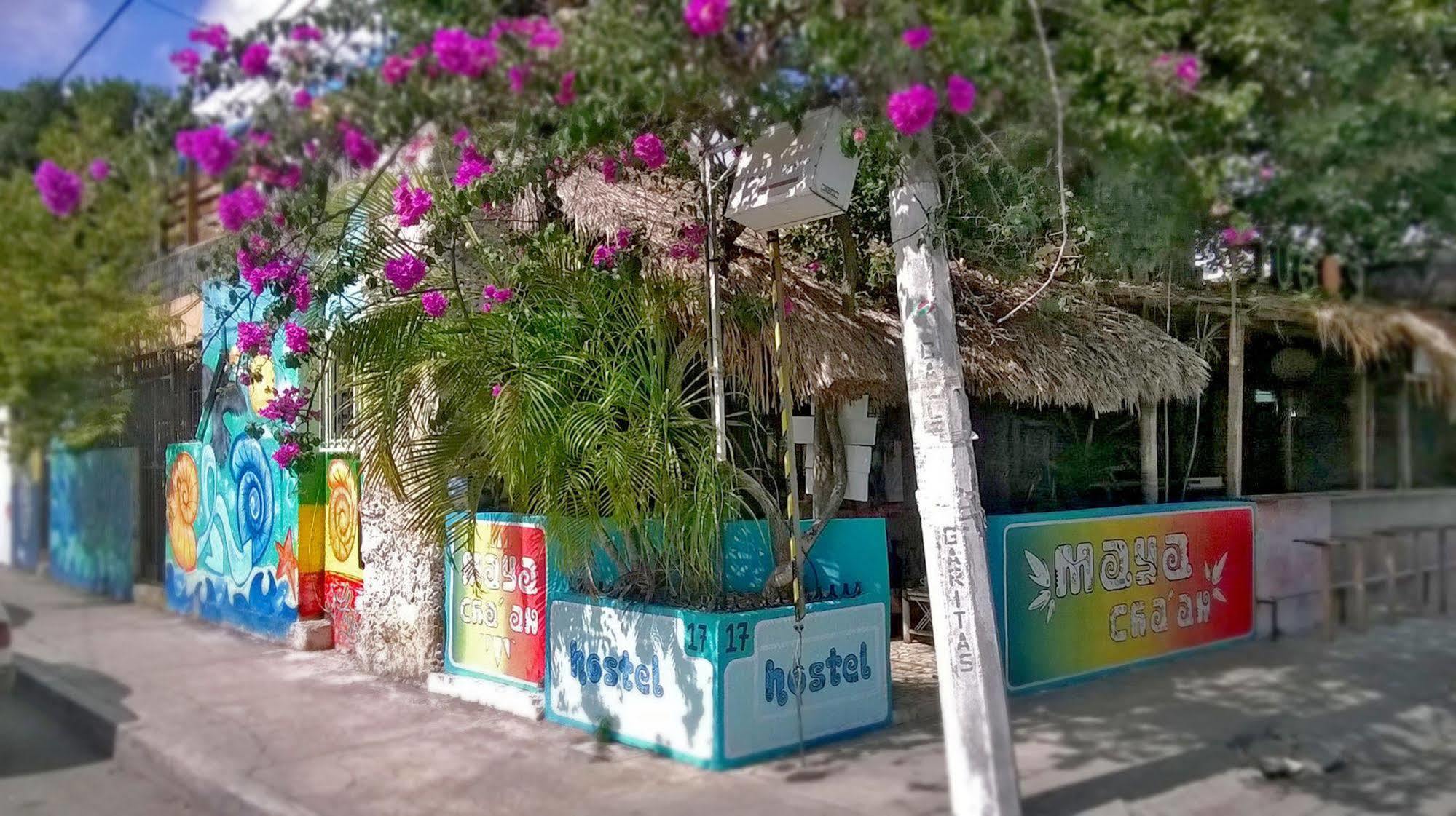 Mayan Hostel Канкун Екстер'єр фото